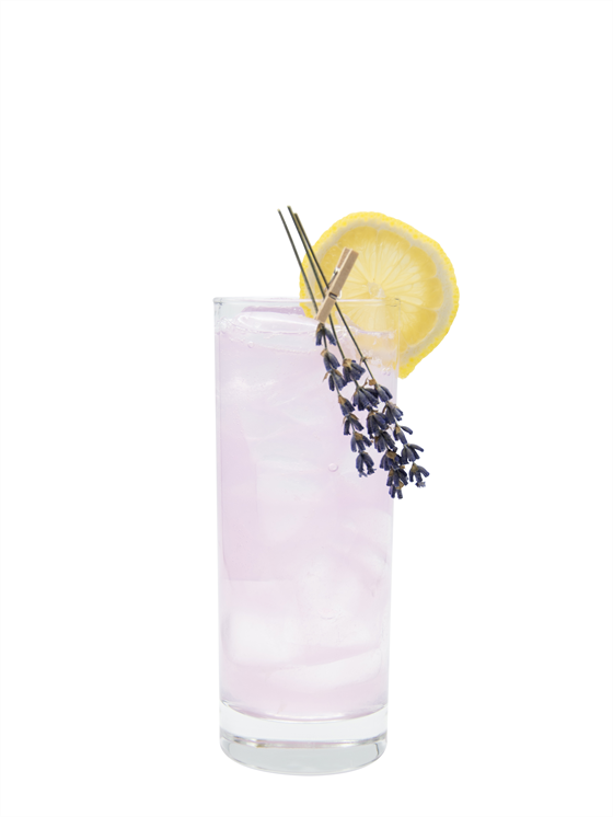 Jarabe Monin Lavanda SIN Azucar 750 ml (Sugar Free)